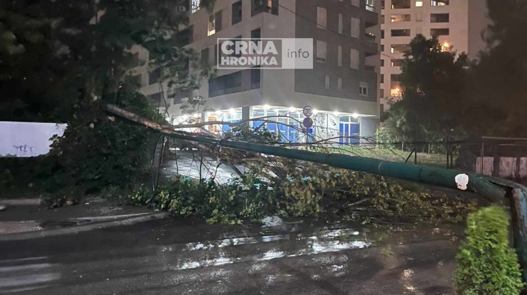 Jak vjetar oborio drvo i stub ulične rasvjete na Otoci