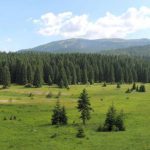 Vlada KS će obogatiti sadržaj na Velikom polju na Igmanu