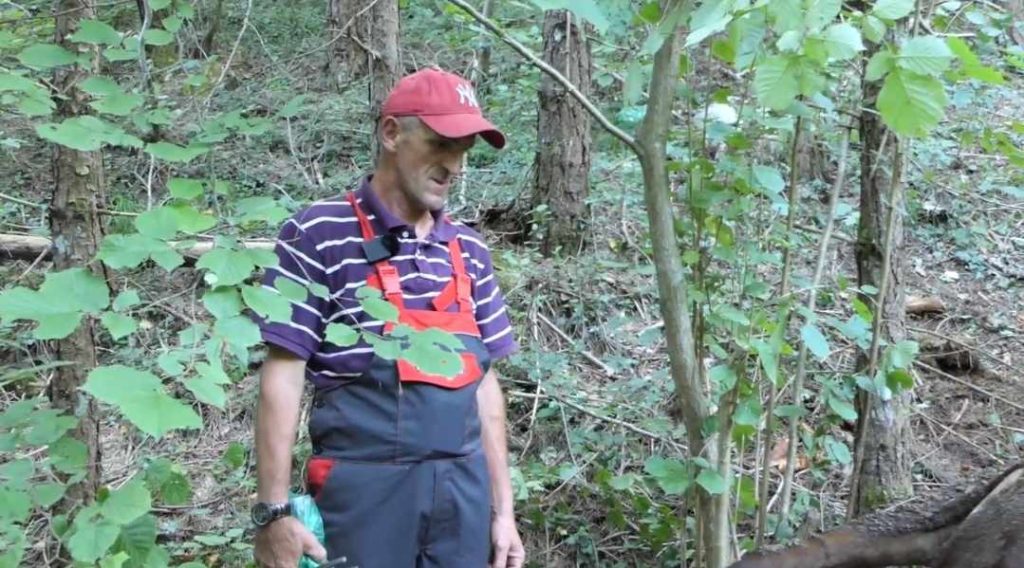 (VIDEO) Hajrudin digao kredit za kravu a sinoć ostao bez nje