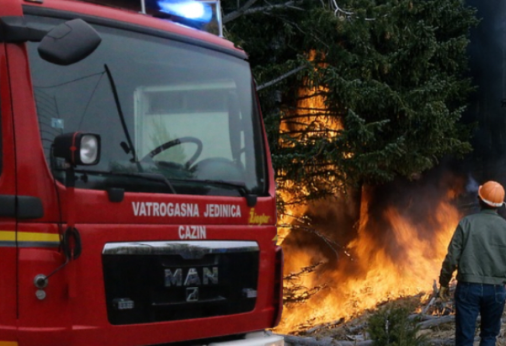 Djeca izazvala požar u šumi