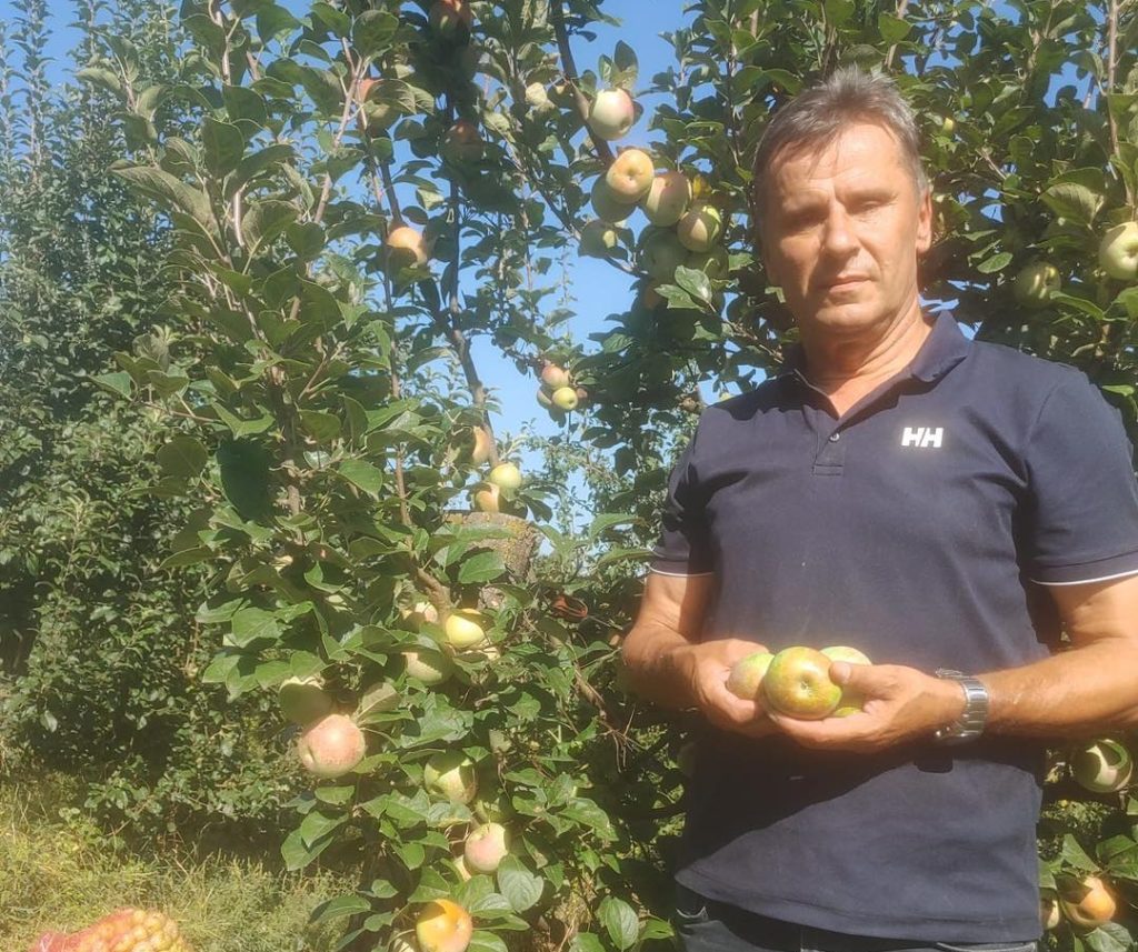 “Domaćinska izjava bivšeg premijera Novalića: ‘Šljive su rodile. Na redu su jabuke'”