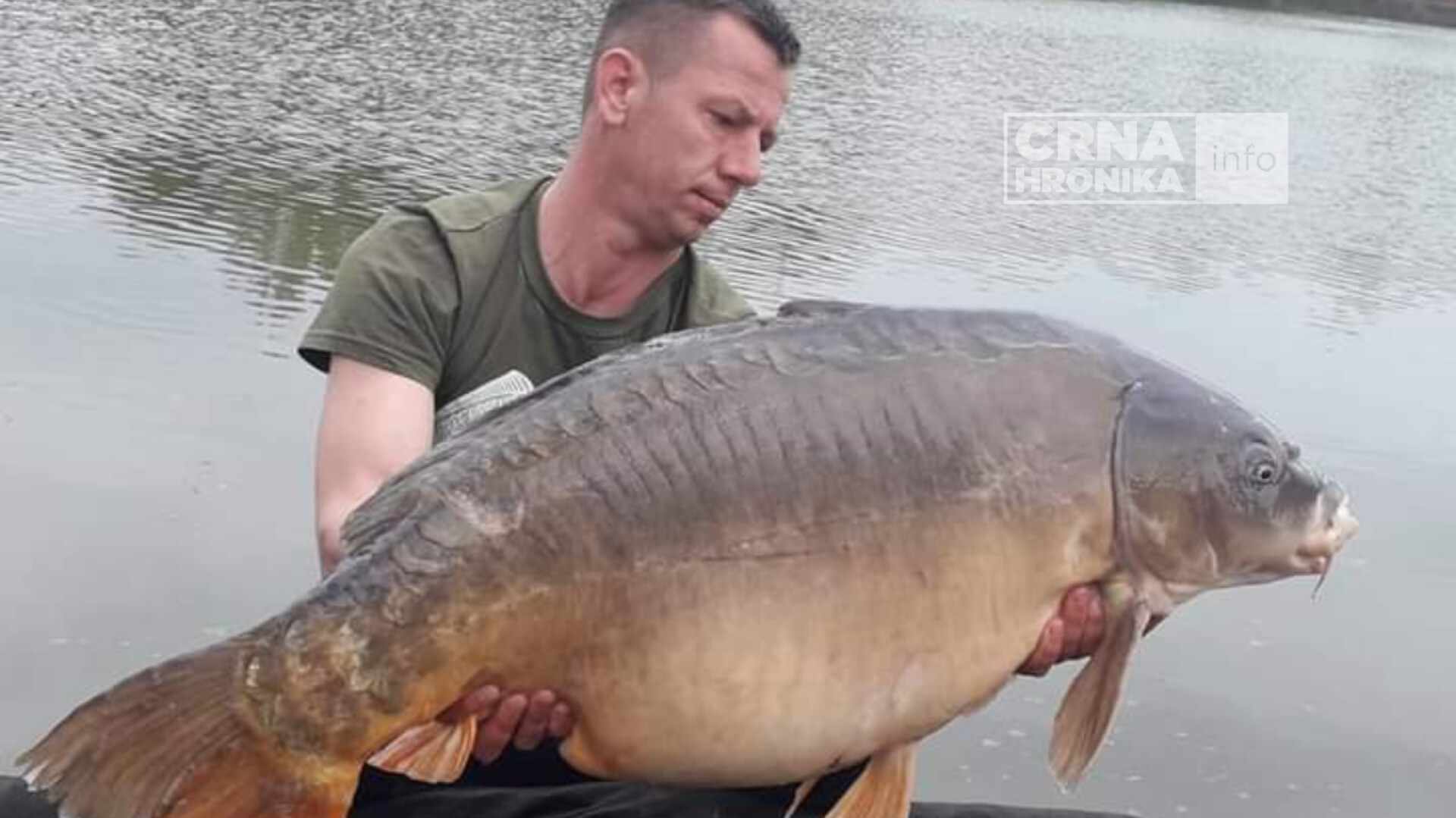 (FOTO) Goran Simić iz Orašja ulovio ribe od 33,8 kg: “Sve ulovljeno u BiH”