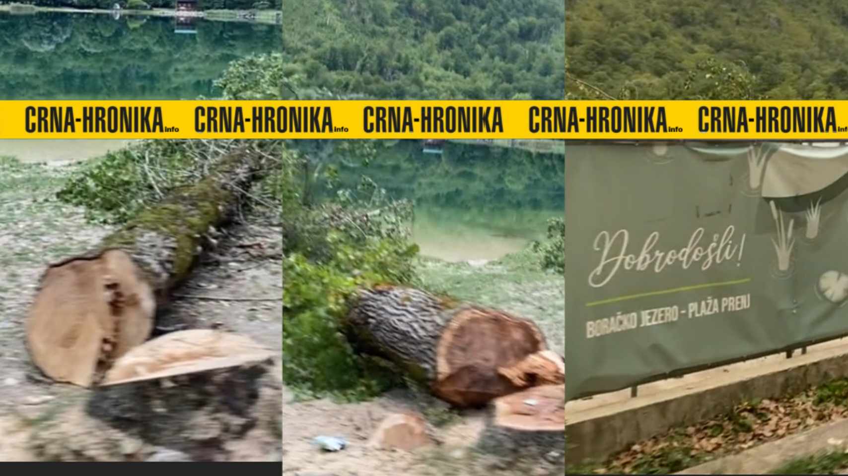 (VIDEO) Tužna slika sa Boračkog jezera: Ko je posjekao dugogodišnja stabla na poznatoj plaži Prenj?