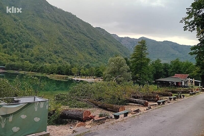 (VIDEO) Oglasili se stručnjaci: Izvođač radova posjekao osam dugogodišnjih stabala topole