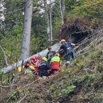 Nesreća na radu: 24-godišnjak teško povrijeđen tokom sječe šume