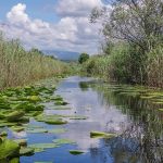 Hutovu blatu prijeti nestanak – izgubljeno 50% vode