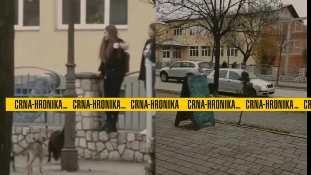 (VIDEO) Lutalice napale učenice ispred škole u Kalesiji