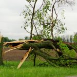 I u nedjelju narandžasto upozorenje zbog olujnog udara vjetra