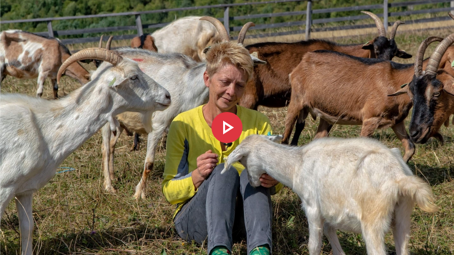 Dženana bila sita stresa, gradske buke i stresa na poslu pa sa kozama otišla na planinu