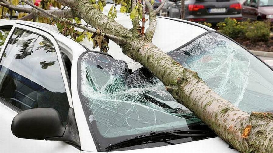 Jak vjetar napravio velike štete – Oštećeni krovovi, drvo palo na vozila