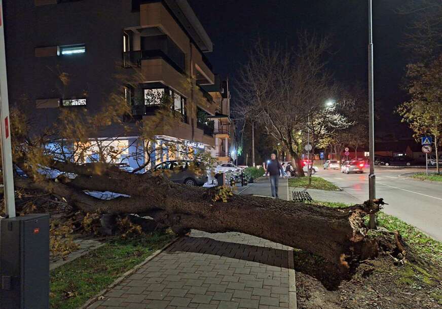 Vjetar ruši stabla: Građanima bolje da ostanu kod kuće