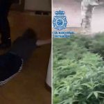 Policija objavila video: Pogledajte hapšenje balkanskog kartela