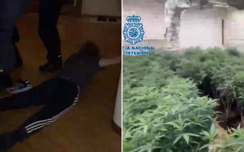 Policija objavila video: Pogledajte hapšenje balkanskog kartela