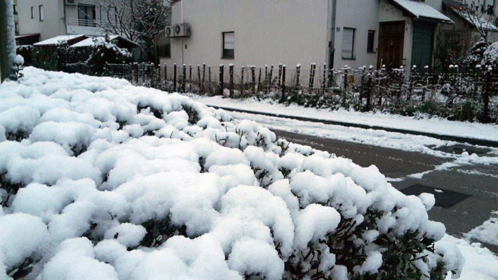 Meteorološka slika do kraja januara: Iznenađujuće topli dani s temperaturama do 15°C