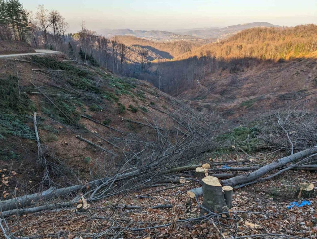 Na trasi Koridora 5C nelegalno posječena zaštićena šuma veličine 28 fudbalskih terena!?