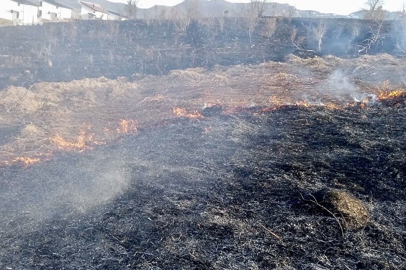 Požar na Bjelašnici: Vatrogasci se bore protiv vatrene stihije uzrokovanje ljudskim faktorom