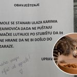 Kućepazitelj zgrade u Sarajevu komšijama htio zabraniti da hrane mačke, oni mu rekli da mačke imaju ključ