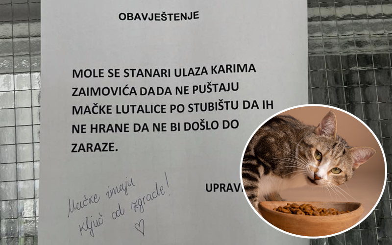 Kućepazitelj zgrade u Sarajevu komšijama htio zabraniti da hrane mačke, oni mu rekli da mačke imaju ključ