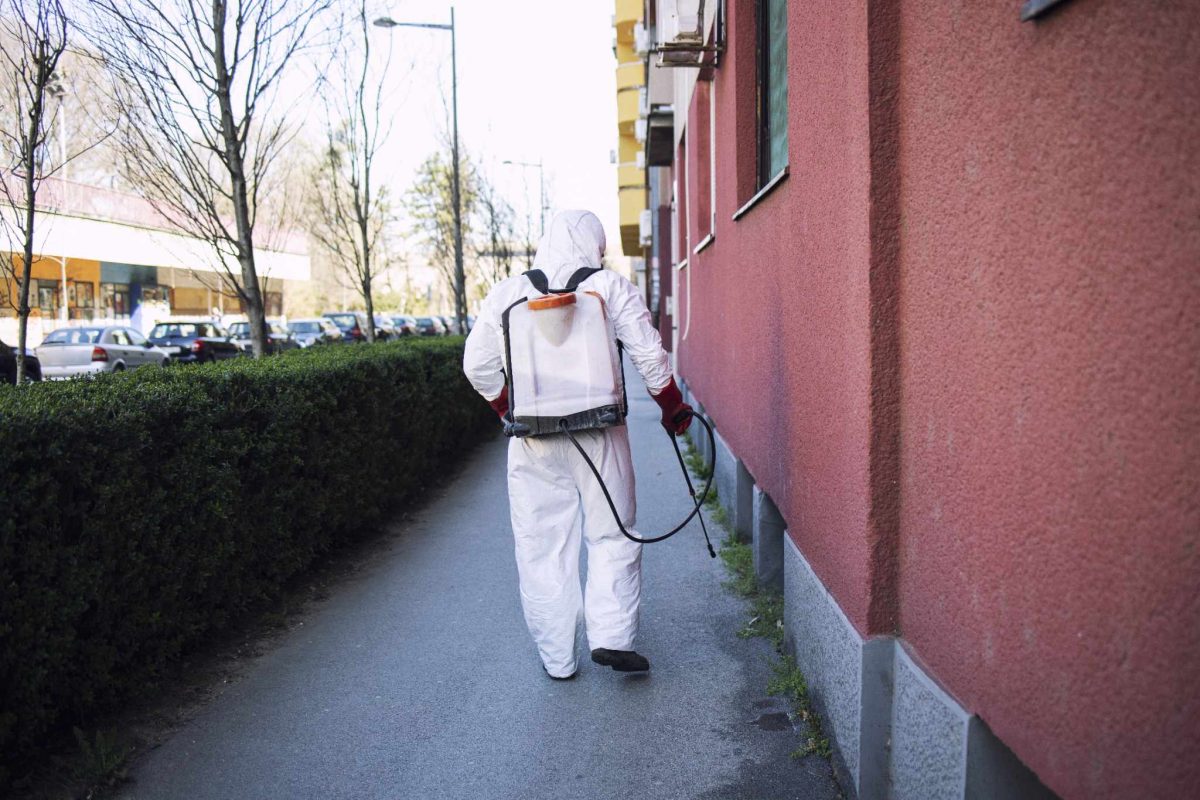 Trojka dvije godine nije uradila sistematsku deratizaciju Sarajeva