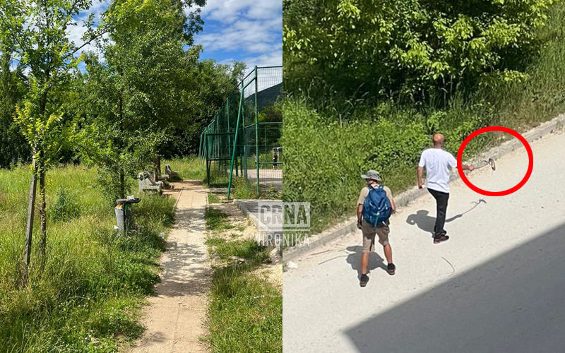 Pojavile im se i zmije, građani ogorčeni: Dijelove sarajevske Općine Centar niko neće da pokosi