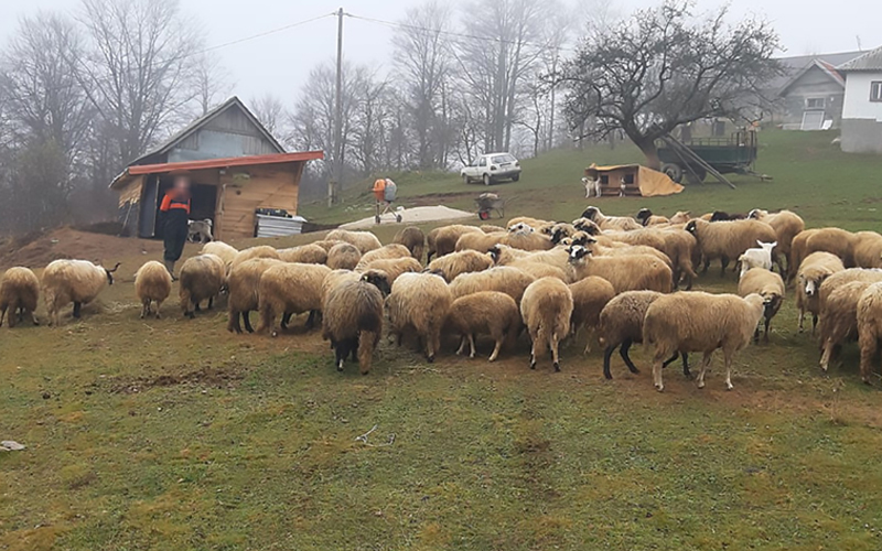 Hapšenje u BiH: Pucao na komšiju zbog svađe oko stoke