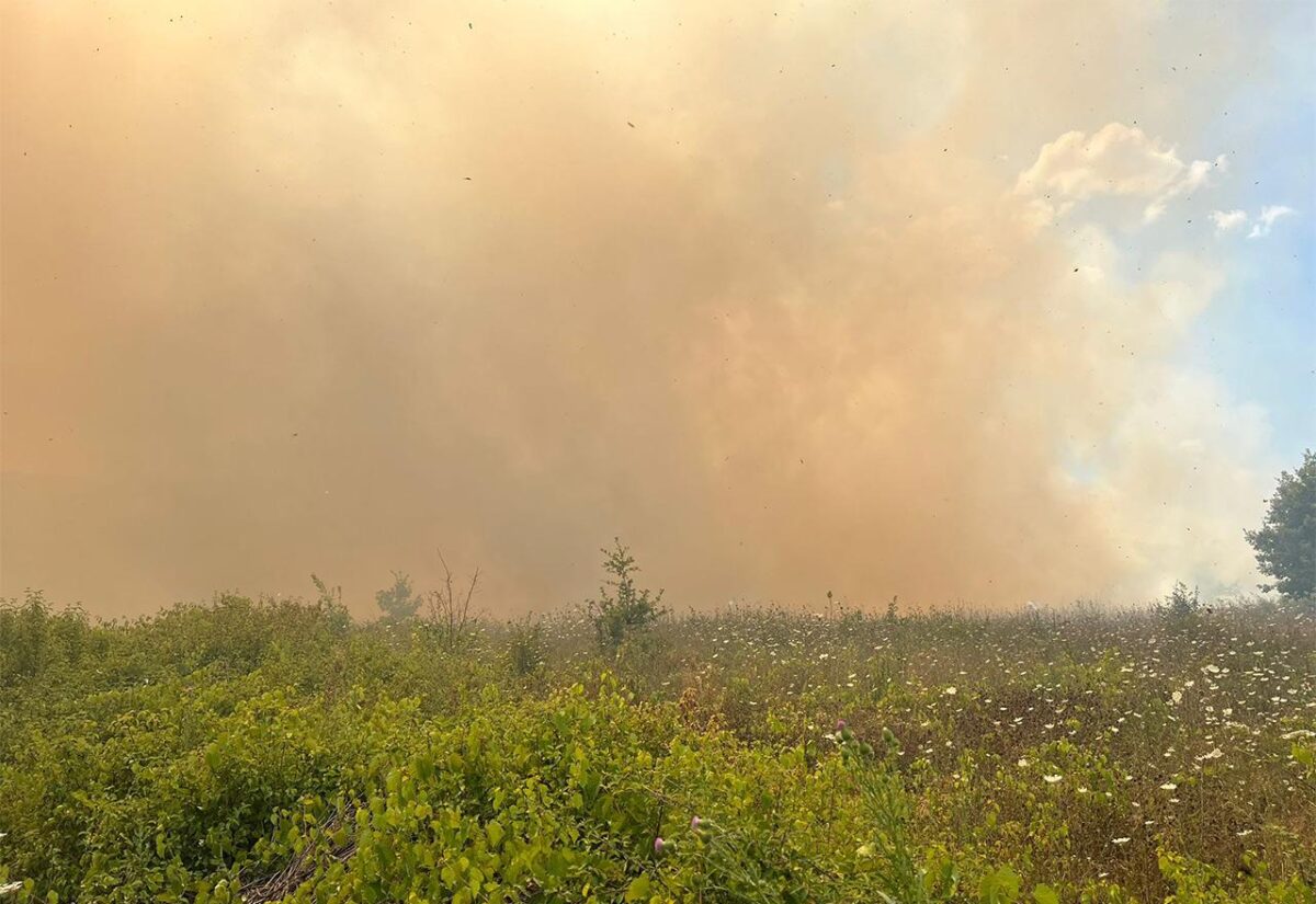 Ugašen veliki požar kraj Gruda: Vatra se približila kućama