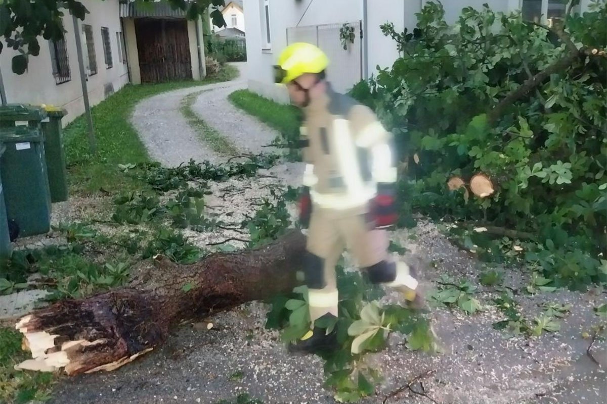 Nevrijeme pogodilo Sloveniju: Vjetar obarao stabla i dalekovode