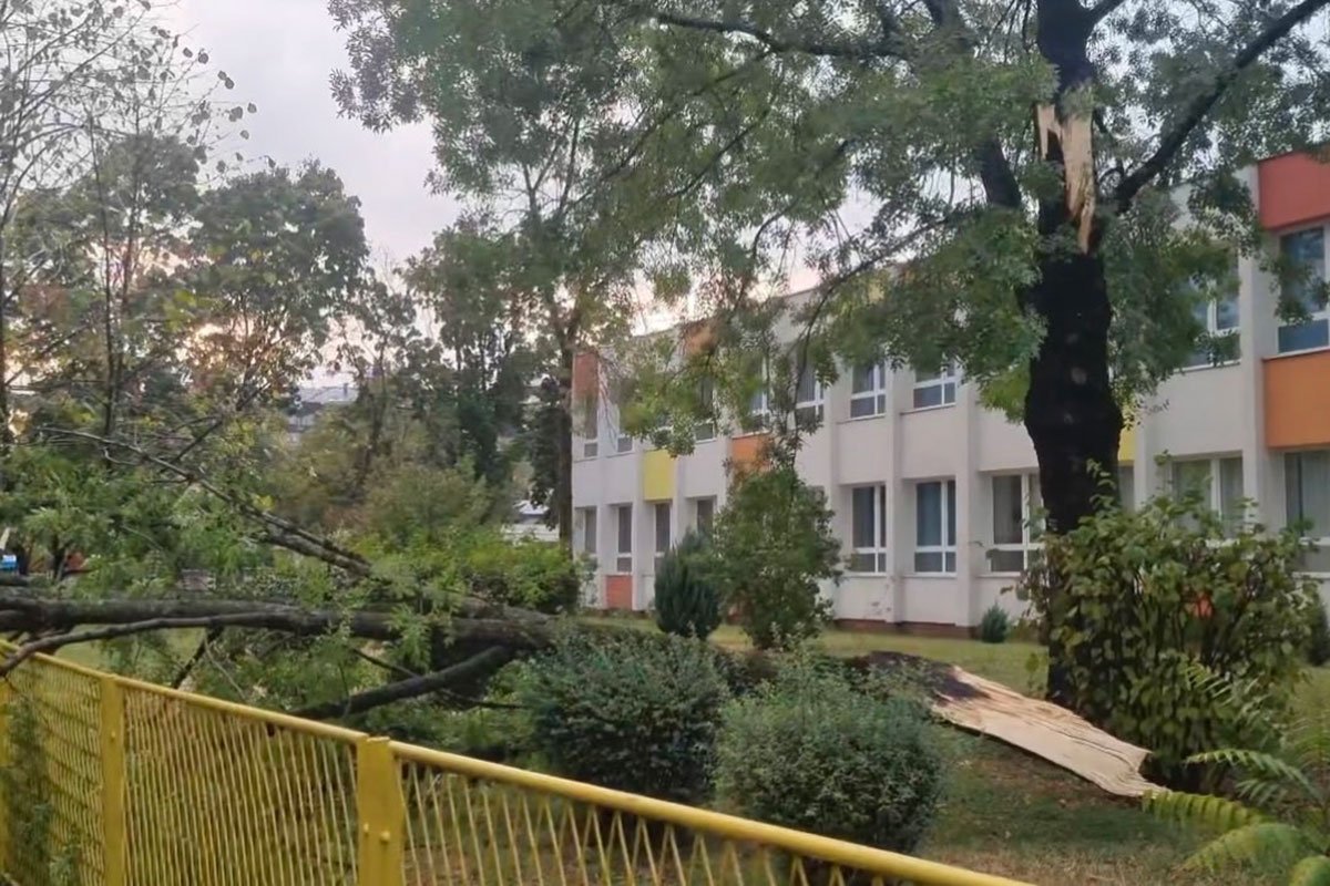 Vjetar odlomio drvo u školskom dvorištu: Blokiran saobraćaj u Boriku