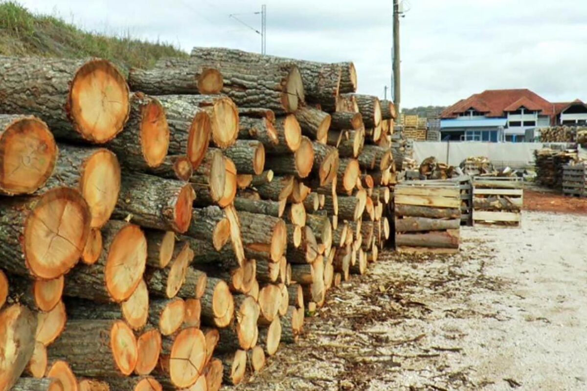 BiH se priprema za zimu: Cijene ogrjeva niže, kupci aktivni