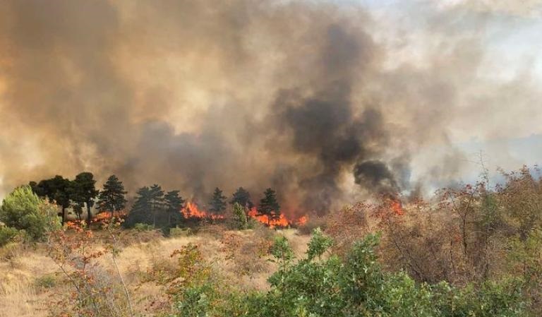 Veliki požar južno od Mostara: Vatrogasci na terenu bore se s vatrenom stihijom na Gubavici