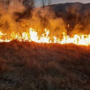 Veliki požar na području između Sokolović Kolonije i Hrasnice ugašen