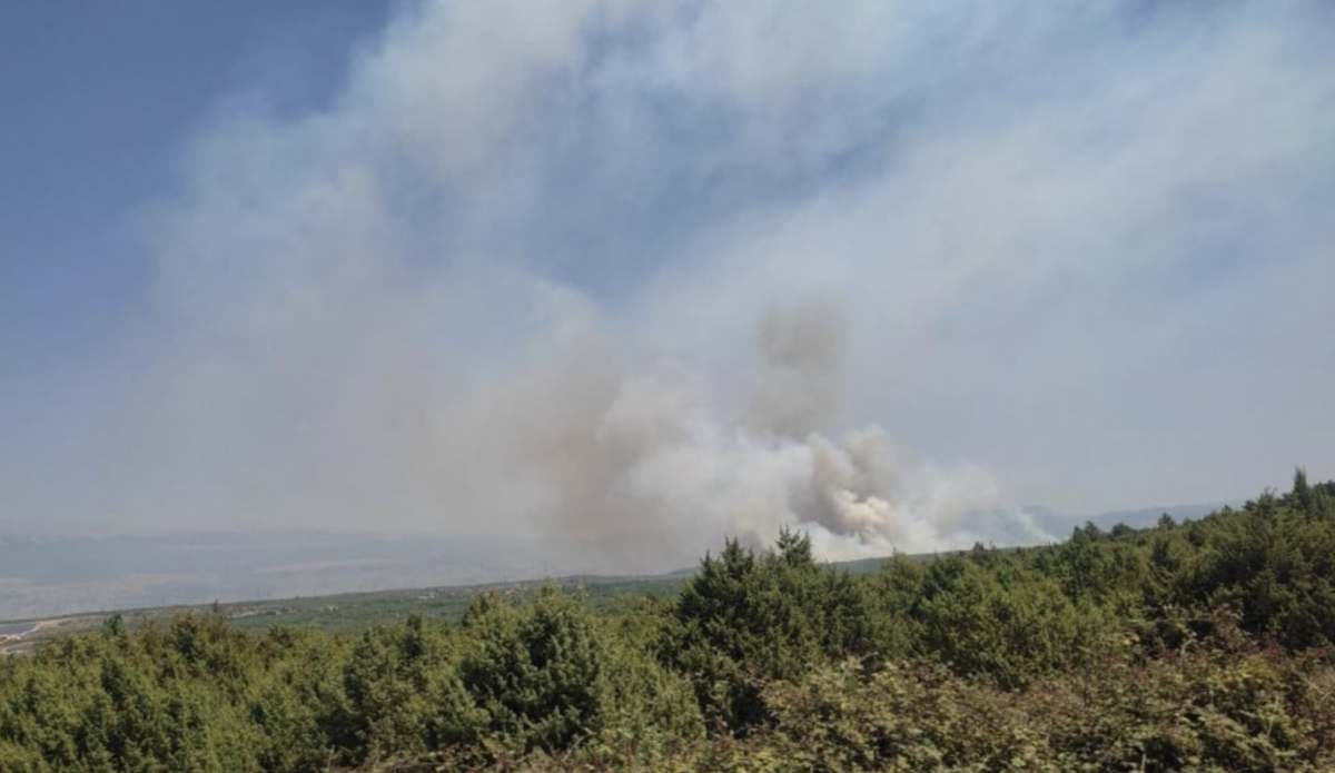 Vatrogasci se bore s požarom između Mostara i Čitluka: Još nije ugašen