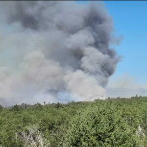 (FOTO) Veliki požar kod Mostara, gase ga 15 vatrogasaca