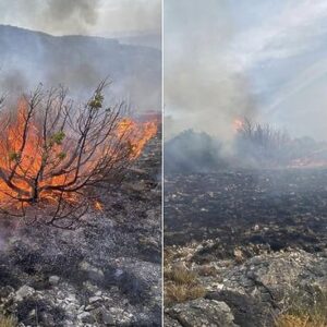 Požari haraju Hercegovinom: U Mostaru zabilježeno najviše intervencija