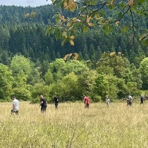 Potraga za nestalim Alijom Selimbašićem traje treći dan