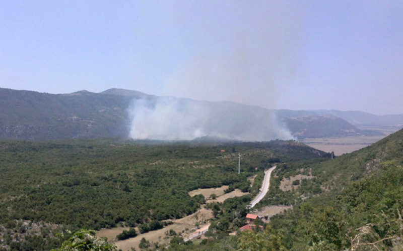 Požar kod Bileće, gori nisko rastinje i sasušena trava