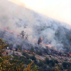 Devetnaest požara u Hercegovini: Vatrogasci se suočavaju s velikim problemima