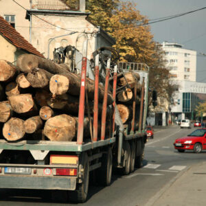 Tužilaštvo traži pritvor za uhapšene u Šumama Srpske