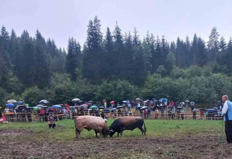 Velika korida u Olovskim Lukama: Zamjena za Čevljanoviće