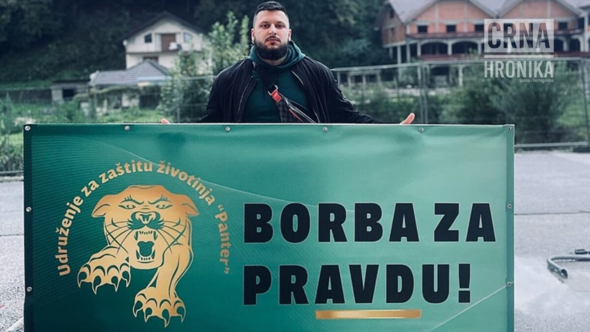 Organizuju se protesti za zaštitu životinja u Sarajevu i Banjaluci