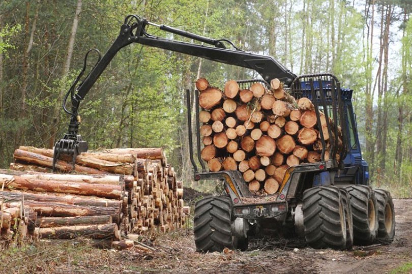 Apsurdna situacija u drvnoj industriji: Bosna i Hercegovina uvozi sirovinu koju sama proizvodi