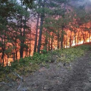 Požar u Rudom: Vatrogasci se nadaju jačoj kiši kako bi stavili pod kontrolu požar dugačak 20 km