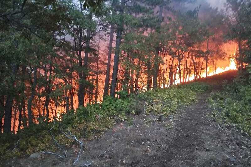 Požar u Rudom: Vatrogasci se nadaju jačoj kiši kako bi stavili pod kontrolu požar dugačak 20 km