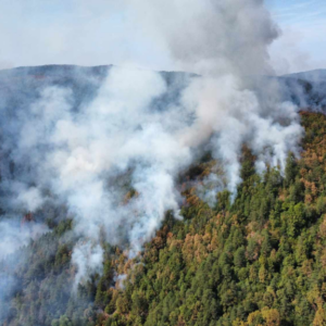 Dar sa neba: Kiša pomogla u gašenju požara kod Maglaja