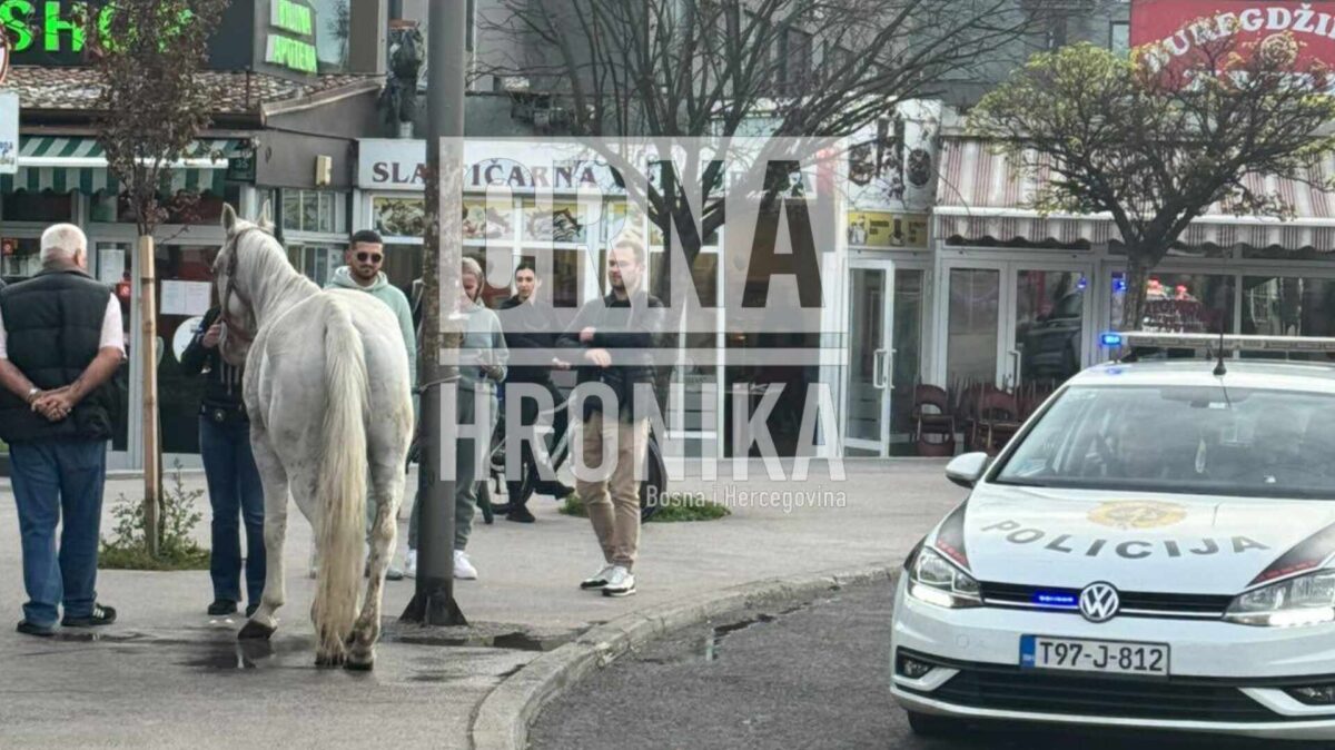 (VIDEO) Građani ganjali konja po ilidžanskom terminalu