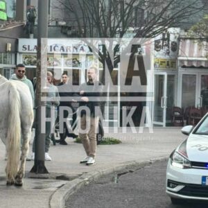 (VIDEO) Građani ganjali konja po ilidžanskom terminalu