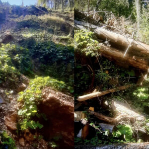 Općina Stari Grad Sarajevo upozorila na potencijalno klizište na lokalitetu gdje se gradi “Trebević Hills”